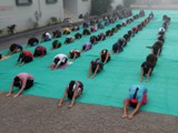 Yog - Session